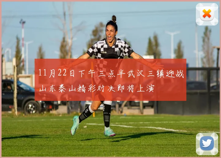 11月22日下午三点半武汉三镇迎战山东泰山精彩对决即将上演