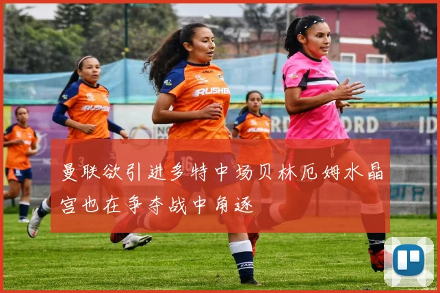 曼联欲引进多特中场贝林厄姆水晶宫也在争夺战中角逐