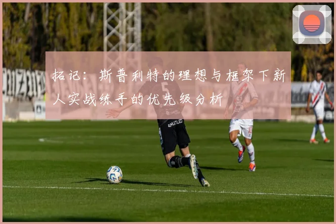 拓记：斯普利特的理想与框架下新人实战练手的优先级分析