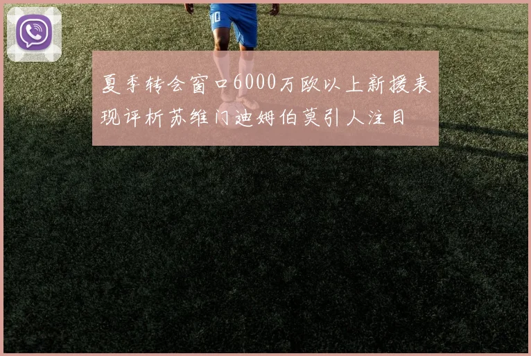 夏季转会窗口6000万欧以上新援表现评析苏维门迪姆伯莫引人注目