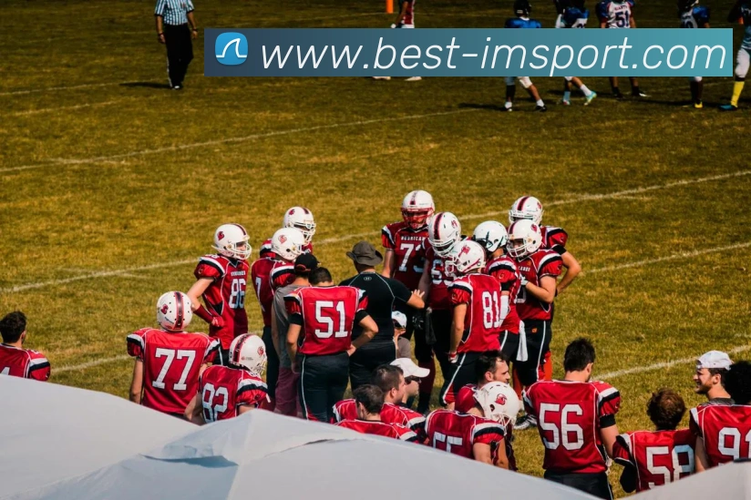 IM体育APP 封面图